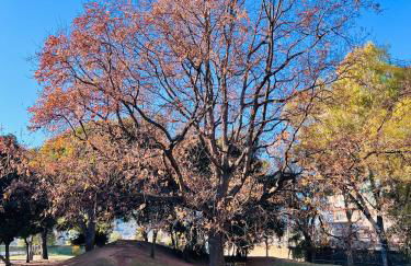 Casa Acquarello - Foto 17