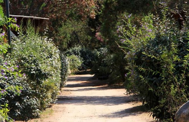 Residence Moby Dick - Foto 32