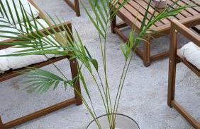 Joe & Vera's Villa - Photo 28