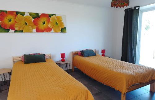 Nova Aurora - Foto 18