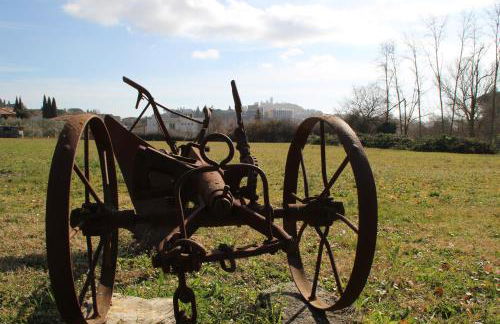 Podere la Campagnola - Foto 15