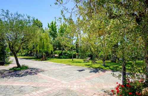 Residence e B&B Villamirella - Foto 21