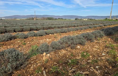 15 min A7, idéal Pro, Nuit Étape & invités événement - Foto 39