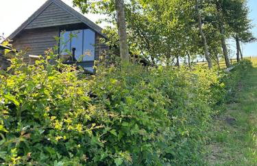 Springhill Studio, Brimham Rocks Yorkshire Dales - Photo 12