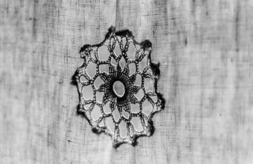 Country House Maremma Nel Tufo - Foto 34