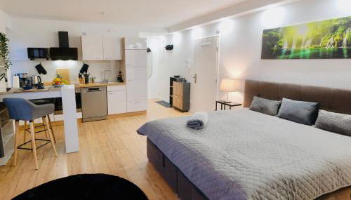 Modernes Apartment für Geschäftsreisende und Paare - WLAN - Parkplatz - Nespresso - zentral - Foto 4, stove, toaster