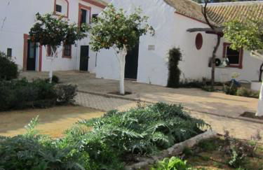 Cortijo El Triguero N-398 Ctra Carmona – El Viso del Alcor Km 18 - Foto 18