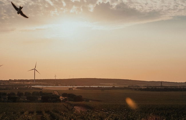 METHE Resort - Photo 1