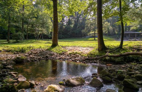 Up the Creek - Foto 28