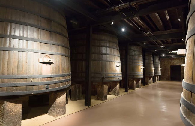 Visite du musée du vin d'Aranda de Duero - Photo 6