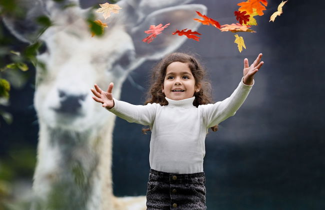 Vakantiepark Dierenbos - Photo 20