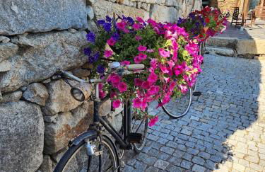 ESPIGUEIRO DA CASADA VILLA RURAL - FOZ DO DOURO by LW - Foto 47