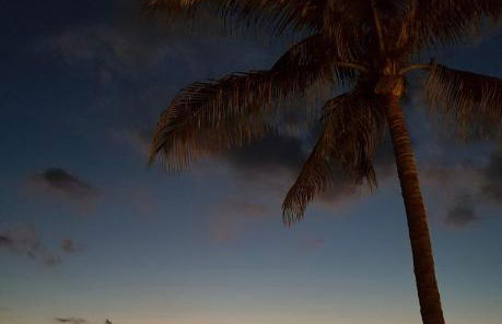 Villa Diana with private swimming pool in Tauro - Foto 50