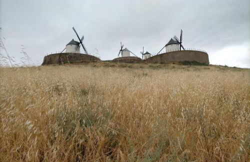 Azafrán Consuegra Casa Rural - Foto 97