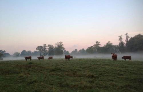 Play All Day - Sleep By The Stream at Night - Swimming Hole - Foto 30
