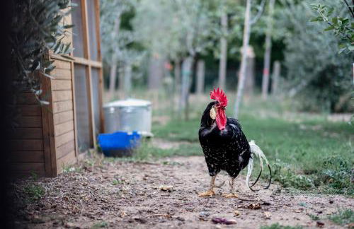 La Casa Dei Fiori - Foto 28