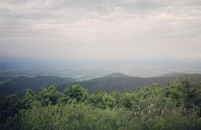 Ferienwohnung im Malerischen Kniebis - Foto 18