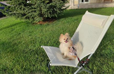 Studio ARIS, a breath away from Athens! - Foto 16