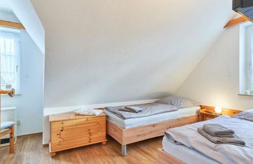 Muschelsucher 2 - Foto 15