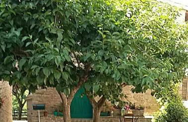 Casetta Nonna Augusta (Spello 9 km-Assisi 12 km) - Foto 4