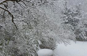 2BR Rustic Villa - Foto 46