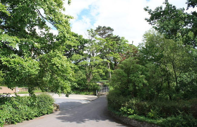 Ballylagan Organic Farm - Foto 26