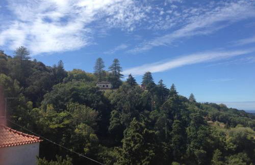 Casas do Pátio Sem Cantigas 4 - Foto 2