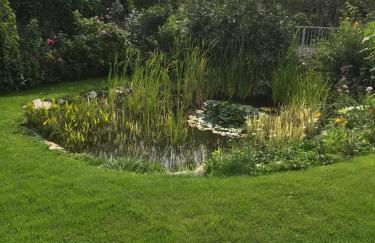 Schöne gemütliche Ferienwohnung mit Kamin I im Harz - Foto 14