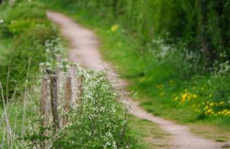 Bluebell Cabin - Foto 48