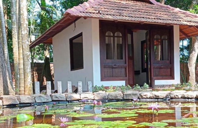 AYURVEDA TOURS INDIA - Foto 5