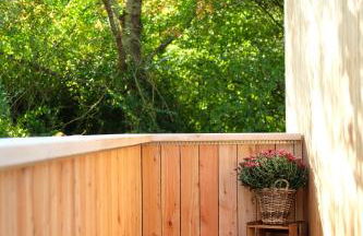 Iguana - Das Tiny Haus am Reptilienzoo Reptilium - Foto 9