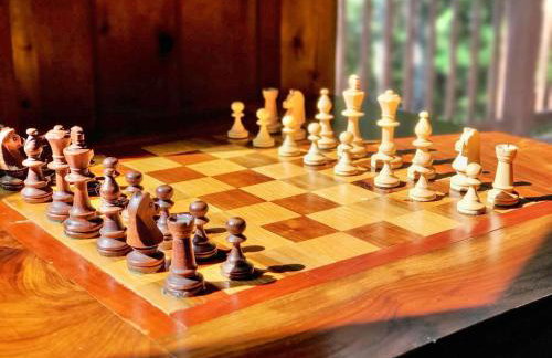 New Mtn Views Hot Tub Arcade Chess - Foto 13