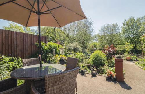 Kingfisher - Foto 18