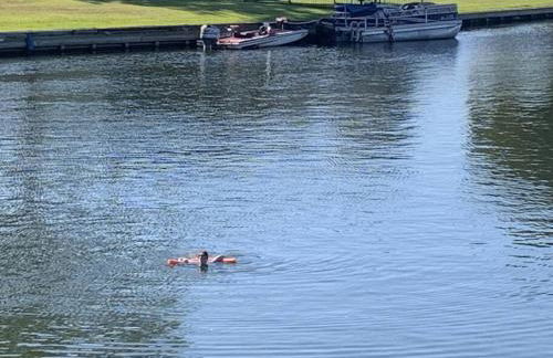 Lakeside Daze! - Foto 5