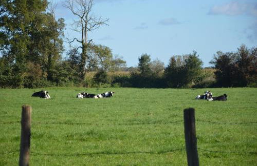 Lovely Holiday Home in Osmanville With Terrace - Foto 57