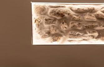 Casa EleMar - Foto 9