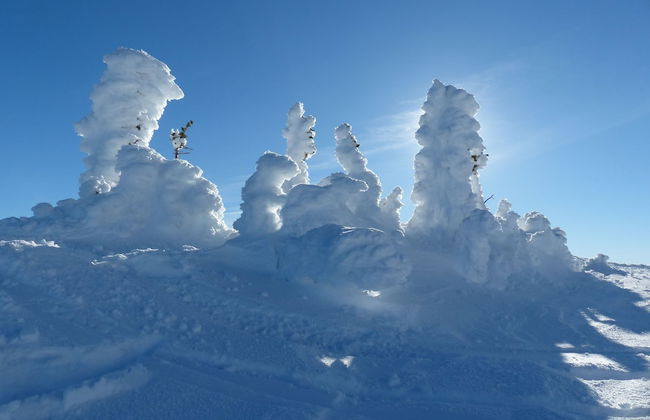 Sundance Resort - Photo 15