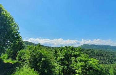 Holiday Home Modruš - Foto 69