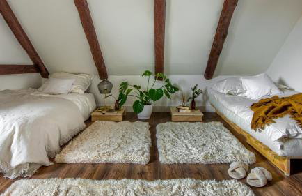 Dzikie Historie Młynik - Photo 15