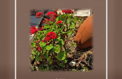 Ikaria Utopia - Cusco Studios - Photo 52