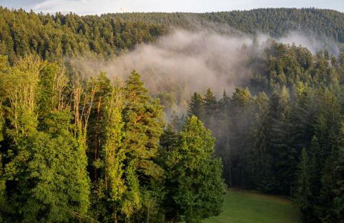 Hansjörgenhof Bioland-Hof - Foto 31