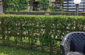 house Benedetta & Gloria on the lake - Foto 58