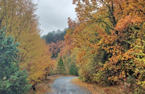 Gousios Apartments - Foto 40