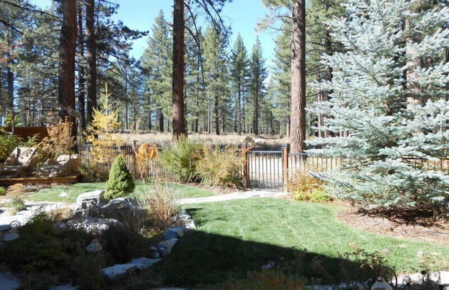 Stunning Forest Retreat - Walk to Upper Truckee River! - Foto 33