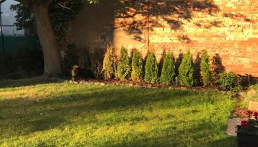 Villa Leone - Foto 4, Garden, Garden view