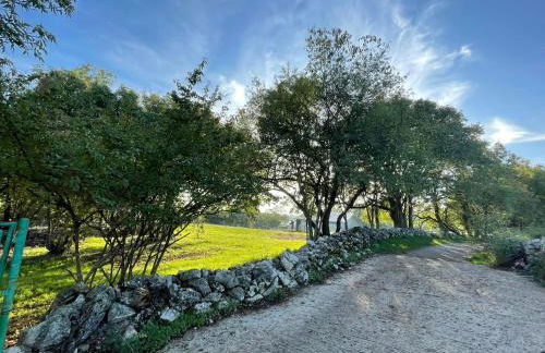 Casa Camilla - Foto 63