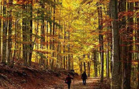 Villa turística Camina y Rioja - Foto 38