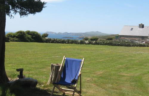 Skomer View Solva - Foto 10