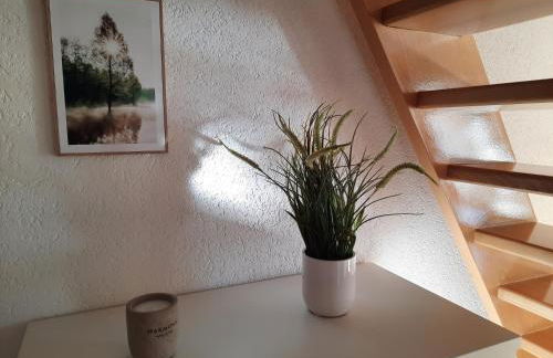 Ferienhaus am Erzgebirgskamm - Foto 13