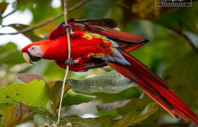 Hotel room-style ocean-view unit in Flamingo with pool - Photo 13